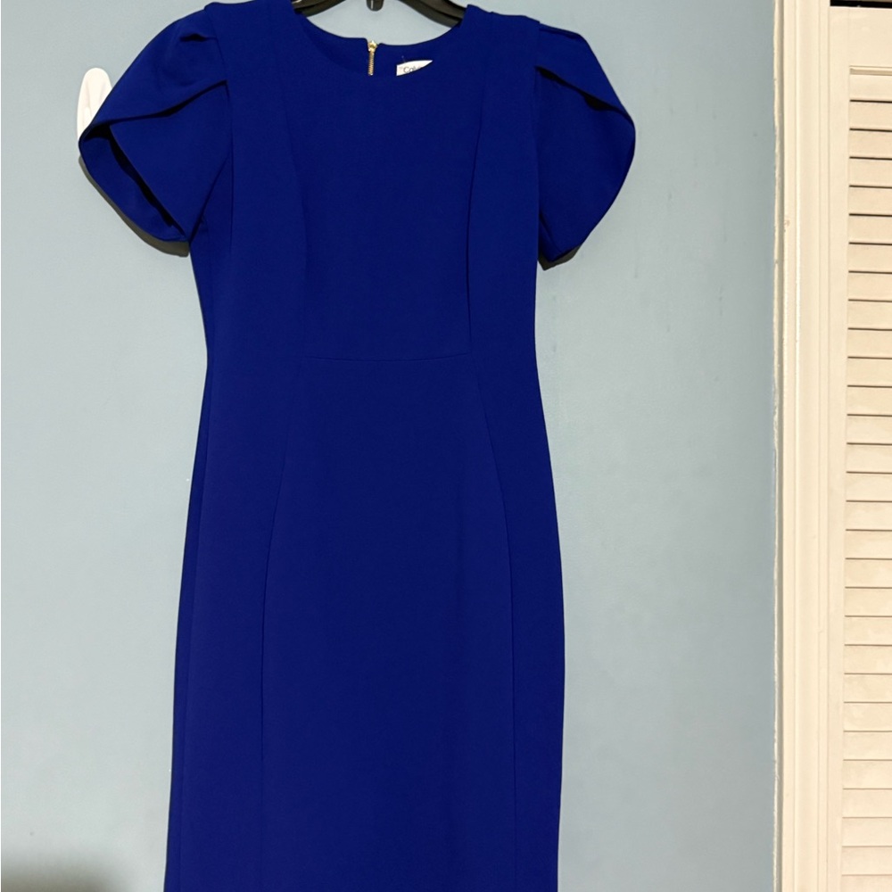 Calvin Klein Royal Blue Midi Dress - Picture 9 of 16